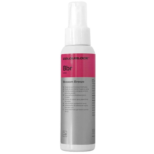 Blossom Breeze 0.1L parfum auto